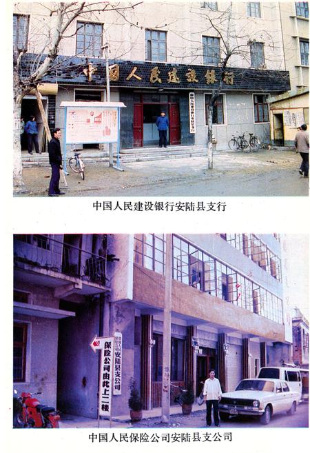 《《安陆县金融志》(1843-1985)》.pdf电子版_湖北省志插图5