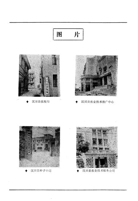《《汉川农牧志》》.pdf电子版_湖北省志插图5