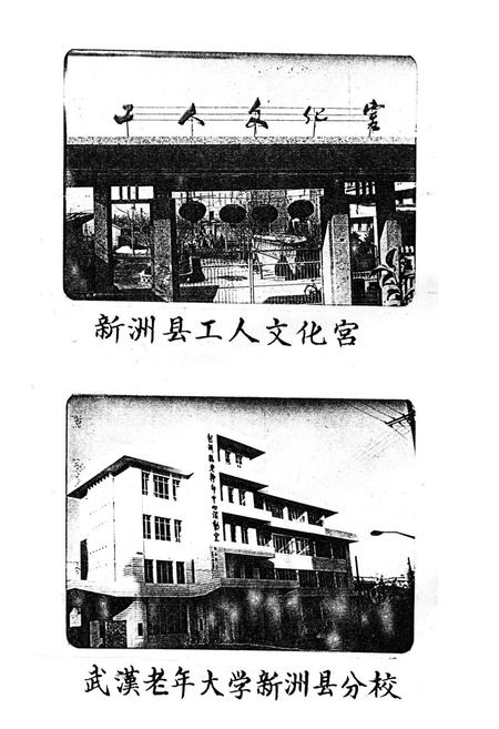 《《新洲县政党社团志》》.pdf电子版_湖北省志插图5