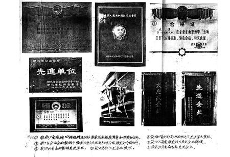 《《厂志》(1958-1985)》.pdf电子版_湖北省志插图1