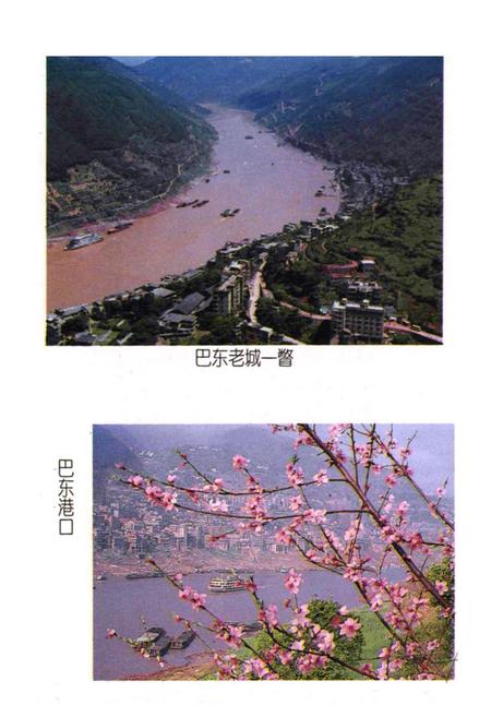 《巴东县民族志》.pdf电子版_湖北省志插图2