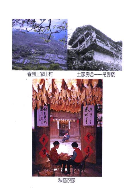 《巴东县民族志》.pdf电子版_湖北省志插图3
