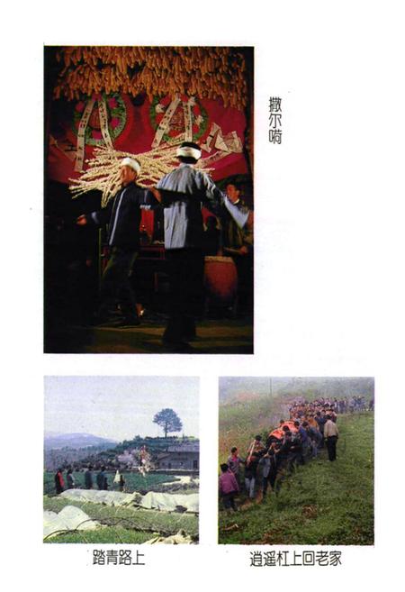 《巴东县民族志》.pdf电子版_湖北省志插图5