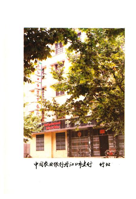 《《湖北省丹江口市金融志》》.pdf电子版_湖北省志插图3