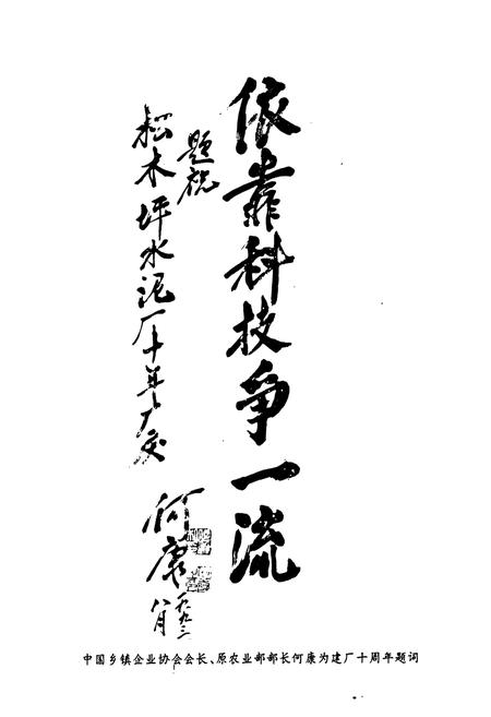 《湖北省松木坪水泥厂厂志(1983年-1993年)》.pdf电子版_湖北省志插图3