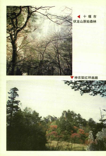 《鄂西北胜境志》.pdf电子版_湖北省志插图5