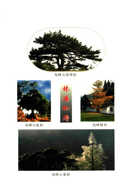 《龟峰山揽胜》.pdf电子版_湖北省志插图4