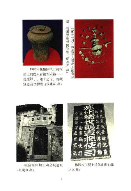 《宣恩县民族志》.pdf电子版_湖北省志插图2
