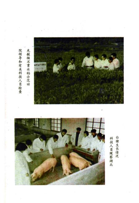 《《湖北省农业科学院志》》.pdf电子版_湖北省志插图3