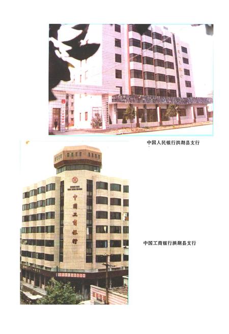 《《洪湖县金融志(1811-1987)》》.pdf电子版_湖北省志插图3