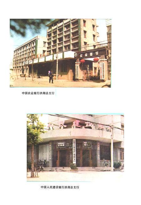 《《洪湖县金融志(1811-1987)》》.pdf电子版_湖北省志插图4