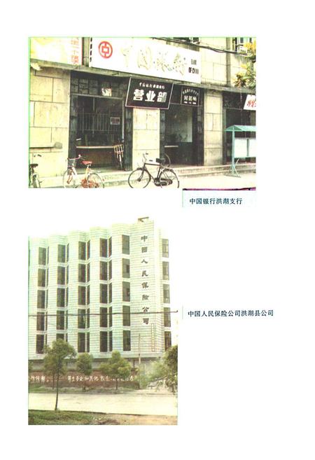 《《洪湖县金融志(1811-1987)》》.pdf电子版_湖北省志插图5