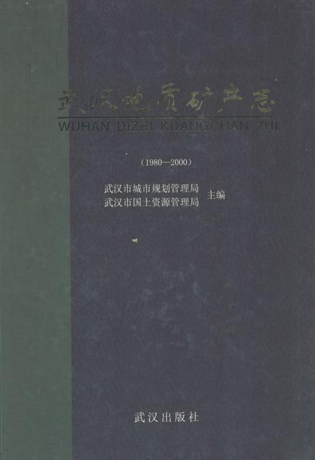 《《武汉地质矿产志》(1980-2000)》.pdf电子版_湖北省志