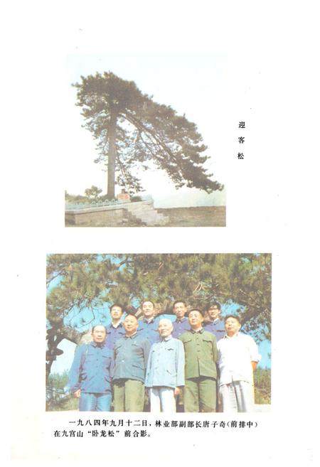 《《通山县林业志》》.pdf电子版_湖北省志插图5