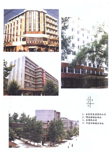 《枝江供销社志(1950-1985)》.pdf电子版_湖北省志插图3