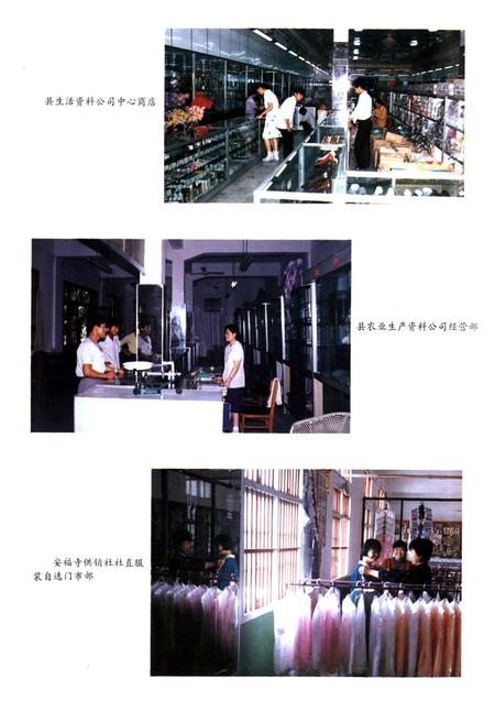 《枝江供销社志(1950-1985)》.pdf电子版_湖北省志插图5