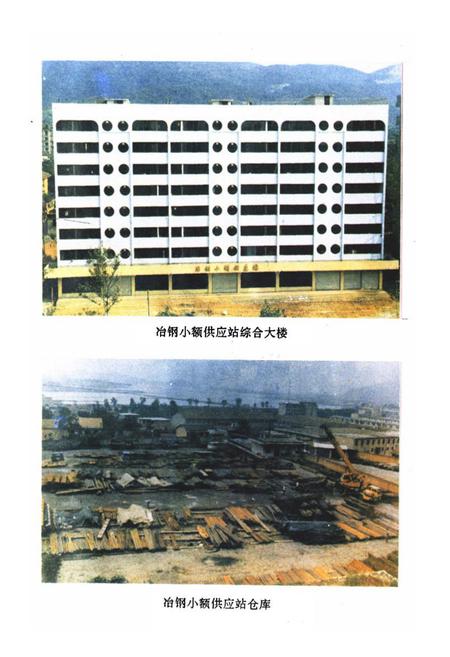 《《冶钢小额供应站志》》.pdf电子版_湖北省志插图4