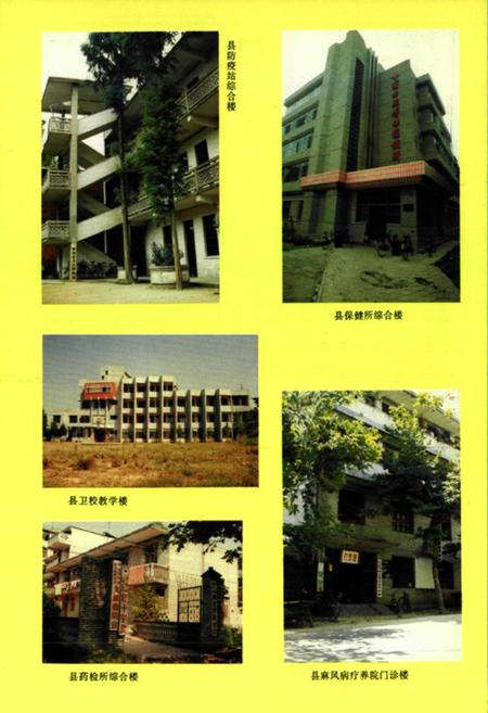 《《罗田县卫生志》(1913-1989)》.pdf电子版_湖北省志插图5
