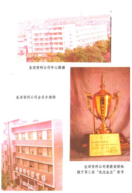 《《松滋县供销合作社志(1939-1985)》》.pdf电子版_湖北省志插图5