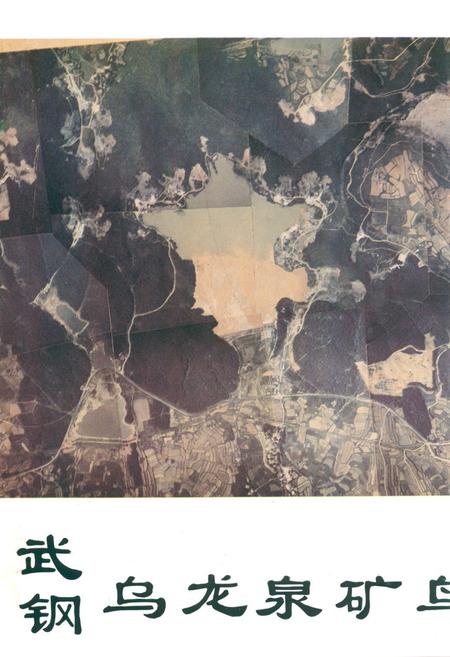 《武钢乌龙泉矿志1953-1990》.pdf电子版_湖北省志插图2
