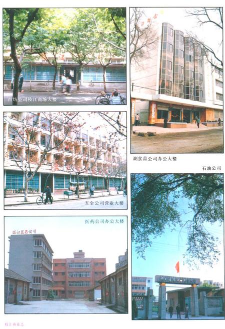 《枝江商业志》.pdf电子版_湖北省志插图5