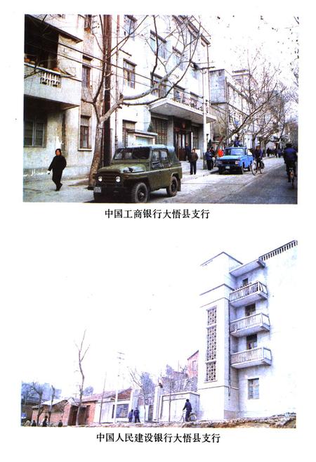 《大悟县金融志(1916-1985)》.pdf电子版_湖北省志插图5