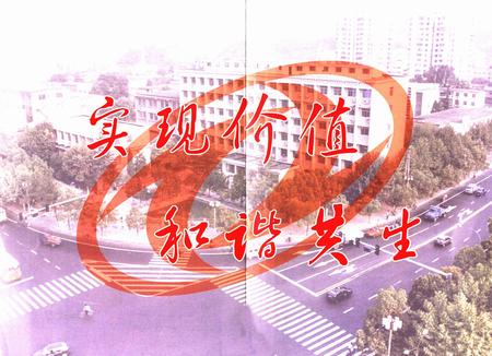 《工业工程公司志(1984-2005)》.pdf电子版_湖北省志插图5 《工业工程公司志(1984-2005)》.pdf电子版_湖北省志插图5