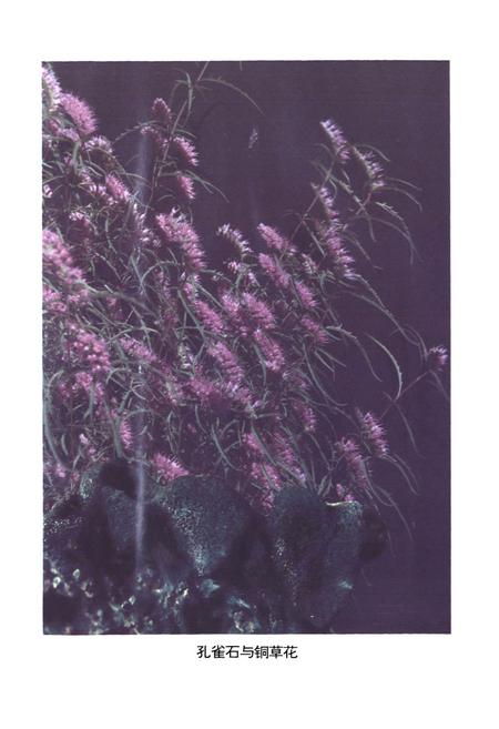 《铜绿山铜铁》.pdf电子版_湖北省志插图5 《铜绿山铜铁》.pdf电子版_湖北省志插图5