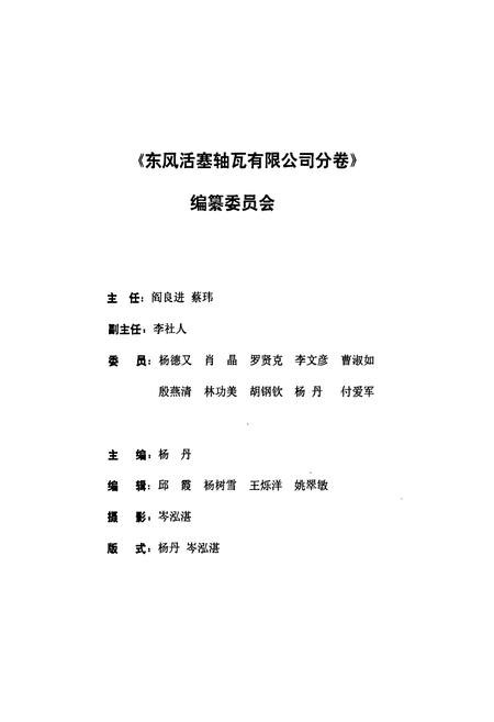 《《东风活塞轴瓦有限公司分卷(1984-1998)》》.pdf电子版_湖北省志插图2