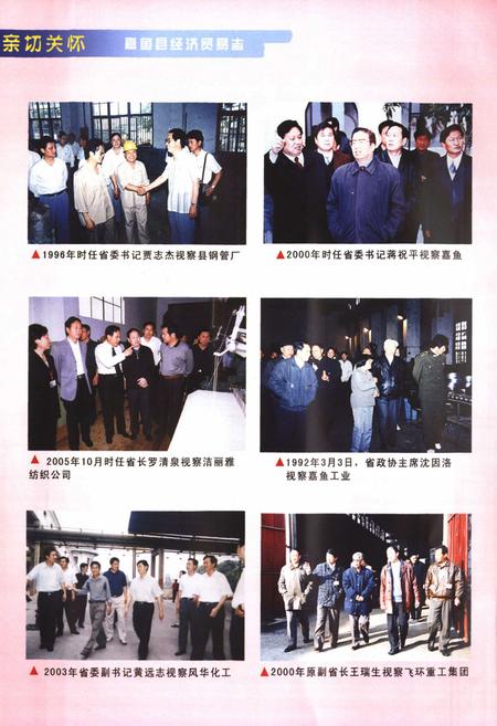 《嘉鱼县经济贸易志(1979-2005)》.pdf电子版_湖北省志插图4