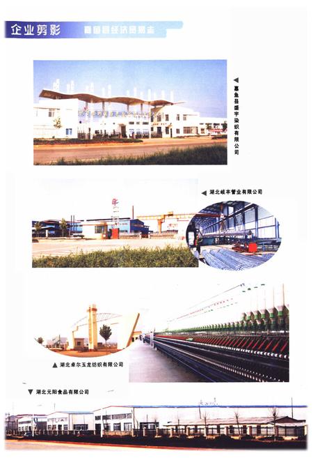 《嘉鱼县经济贸易志(1979-2005)》.pdf电子版_湖北省志插图5