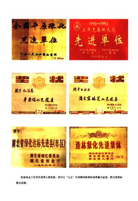 《松滋市林业志(1985-2004年)》.pdf电子版_湖北省志插图5