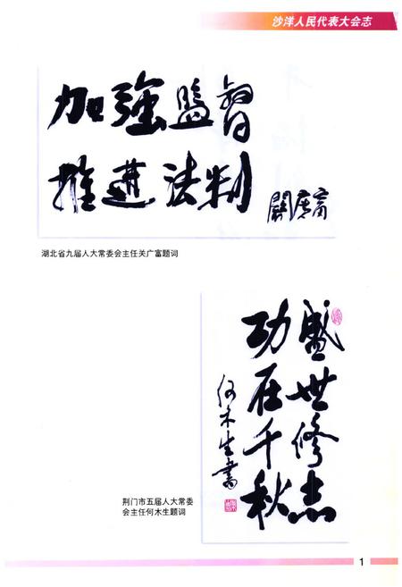 《沙洋人民代表大会志(第一卷)(1987-1998)》.pdf电子版_湖北省志插图2