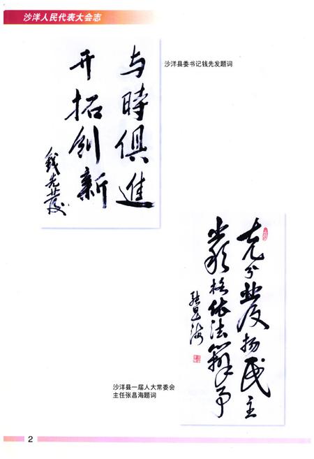 《沙洋人民代表大会志(第一卷)(1987-1998)》.pdf电子版_湖北省志插图3