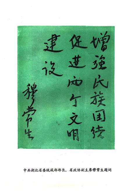 《《沔阳县民族志》》.pdf电子版_湖北省志插图3
