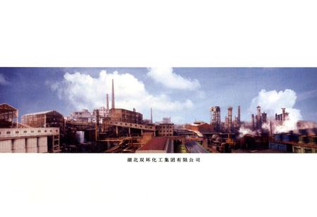 《双环公司志第二卷》.pdf电子版_湖北省志插图2