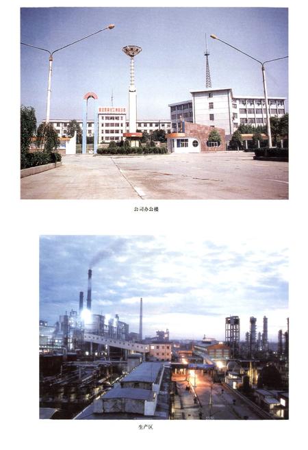 《双环公司志第二卷》.pdf电子版_湖北省志插图3