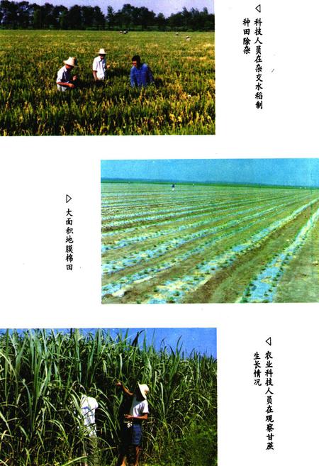《《大同湖农场志》》.pdf电子版_湖北省志插图5