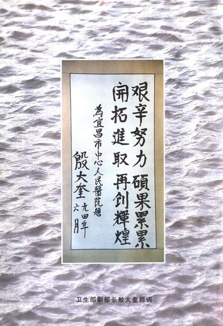 《宜昌市中心人民医院院志》.pdf电子版_湖北省志插图2