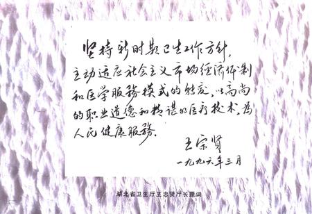 《宜昌市中心人民医院院志》.pdf电子版_湖北省志插图5