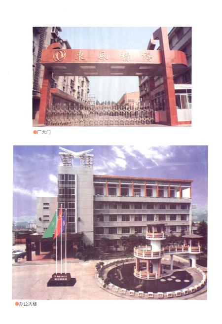 《《精密铸造厂分卷(1984-1998)》》.pdf电子版_湖北省志插图4