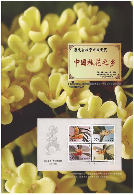 《咸安区志(1986-2005)》.pdf电子版_湖北省志插图3 《咸安区志(1986-2005)》.pdf电子版_湖北省志插图3