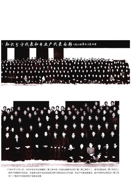 《咸安区志(1986-2005)》.pdf电子版_湖北省志插图5 《咸安区志(1986-2005)》.pdf电子版_湖北省志插图5