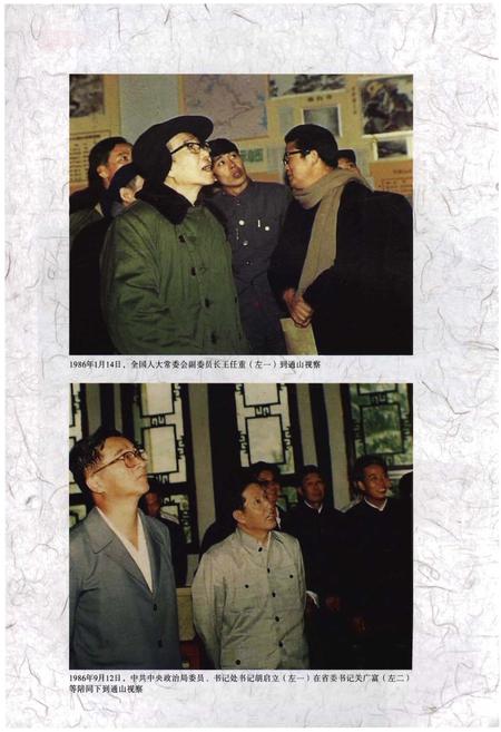 《通山县志(1986-2005)》.pdf电子版_湖北省志插图4 《通山县志(1986-2005)》.pdf电子版_湖北省志插图4