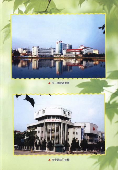 《天门市卫生志》.pdf电子版_湖北省志插图4