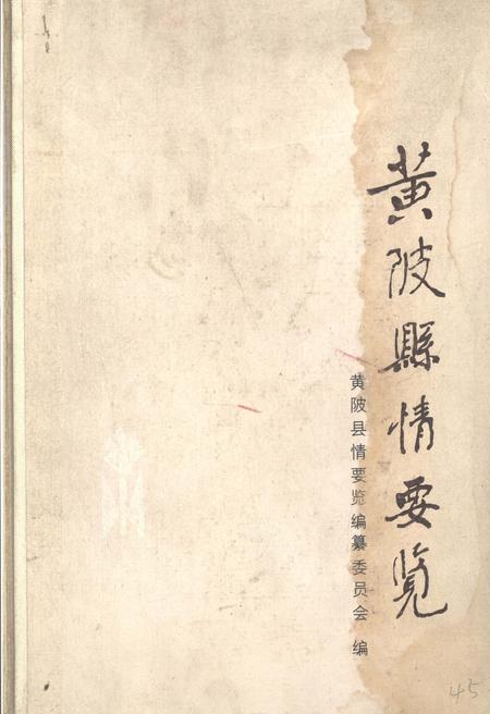 《黄陂县情要览》.pdf电子版_湖北省志