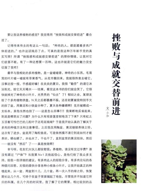 《多肉萌物志》.pdf电子版_湖北省志插图4