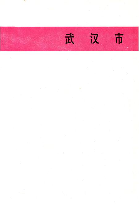 《当代湖北工业.地区卷》.pdf电子版_湖北省志插图5