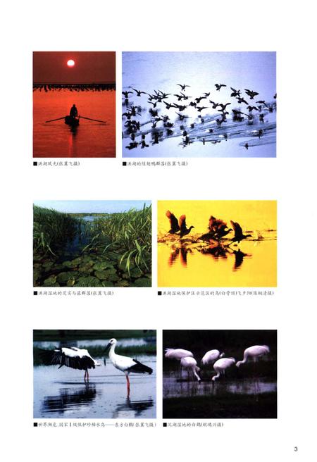 《湖北湿地》.pdf电子版_湖北省志插图5