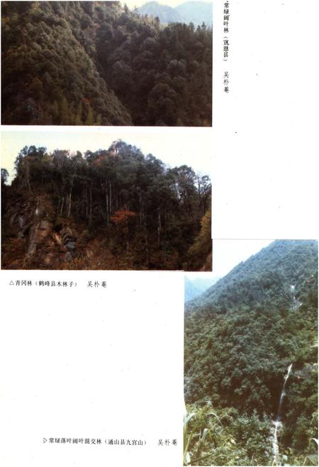 《湖北森林》.pdf电子版_湖北省志插图5